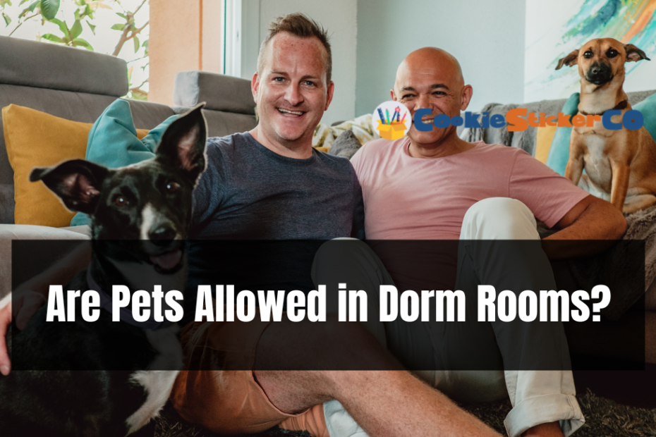 Are Pets Allowed in Dorm Rooms