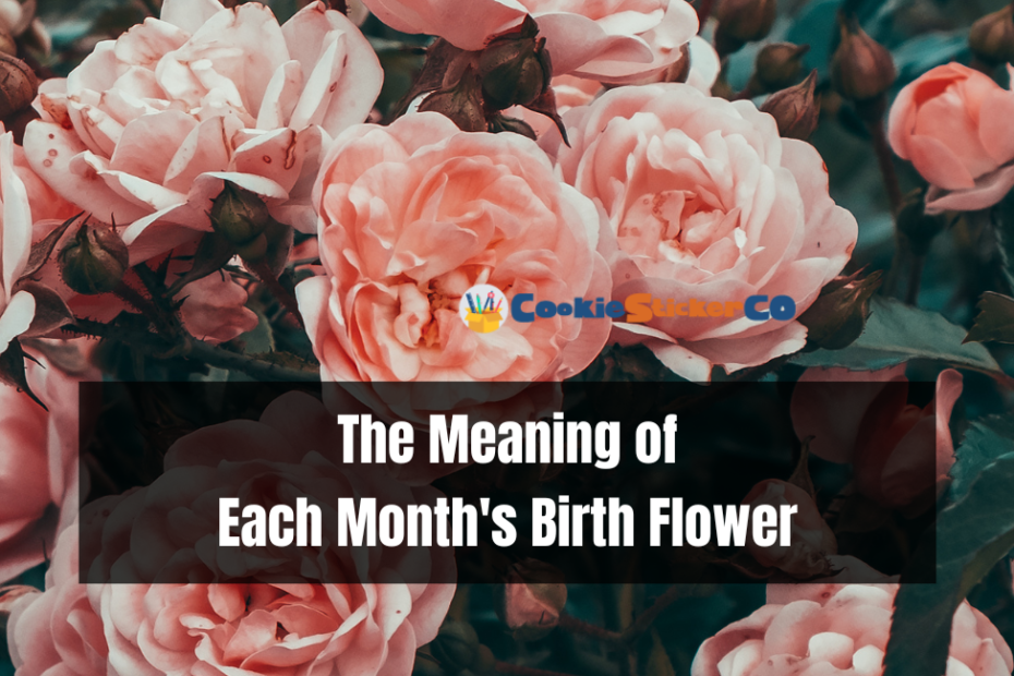 The Meaning of Each Month's Birth Flower